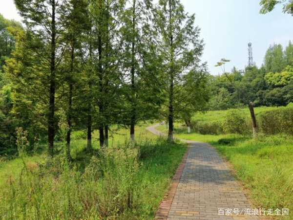 照母山旅游攻略, 探索这座美丽山脉的最佳路线