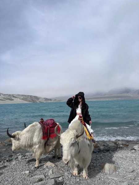 玛多县旅游攻略, 畅游这片神秘的土地