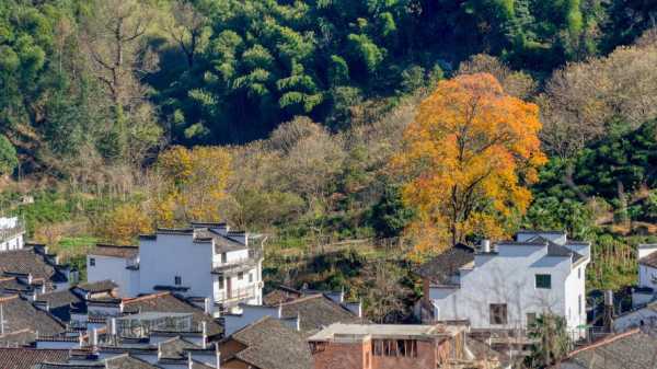 皖南古村落旅游攻略, 如何玩转这些人间仙境?