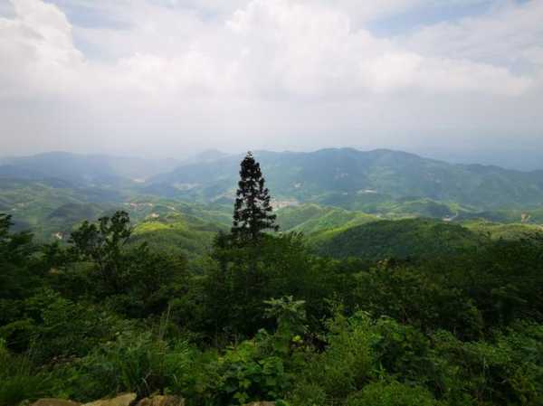 石柱峰旅游攻略, 一站式游玩全指南