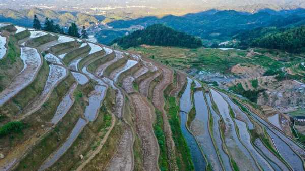 紫鹊梯田旅游攻略,尽享美丽风景和当地特色