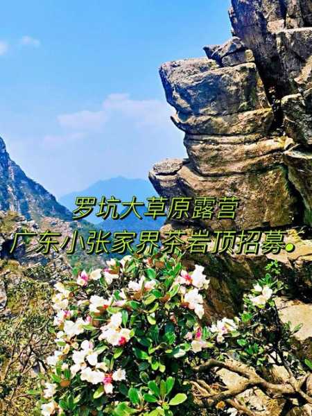罗坑大草原旅游攻略, 适合家庭出游吗?