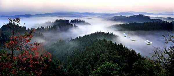花岩溪旅游攻略, 探索最美自然风光与活动
