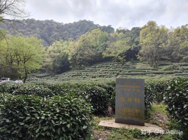 苏沪杭旅游攻略, 探索三城精彩之旅