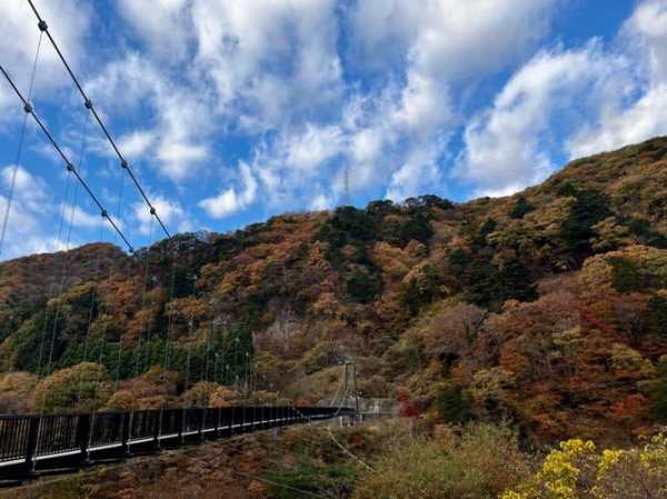 鬼怒川旅游攻略, 深入探索温泉与美景秘诀