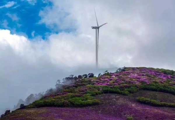 鹤庆马耳山旅游攻略, 最全游玩指南与贴士