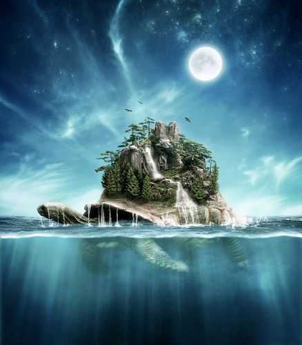 Turtle Island, 你了解它的独特魅力吗?