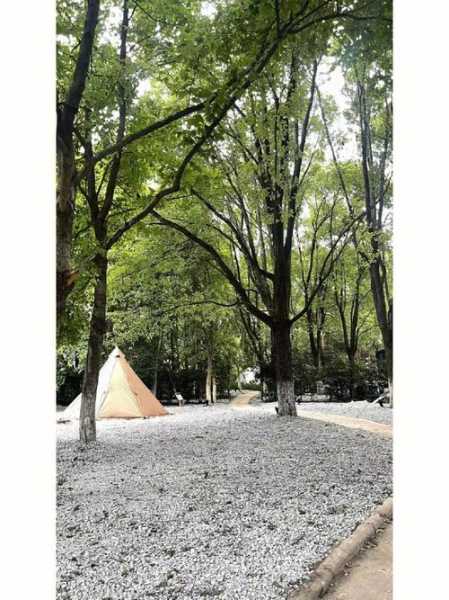 上海南华苑度假村, 你知道怎么玩转这里吗？