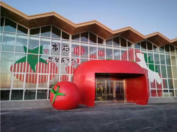 上海番茄农庄, 探索新鲜农业的乐趣