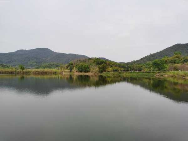 东莞同沙生态公园, 体验自然之美的理想之地