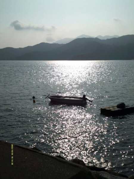 坪洲岛, 探索这片海岛的魅力与风景