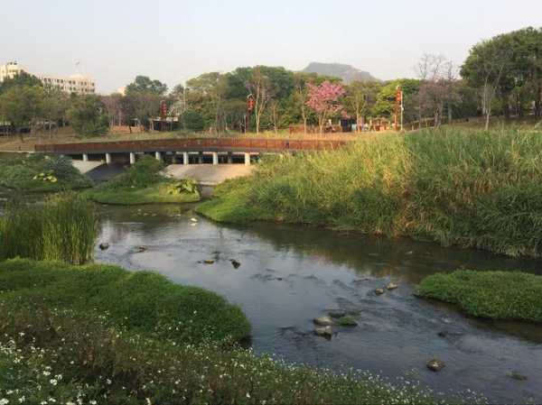 深圳大沙河公园, 一处放松身心的绝佳去处