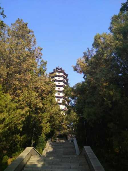 东皋公园, 您不可错过的自然休闲胜地