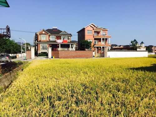 九合乡, 探寻美丽乡村的秘密