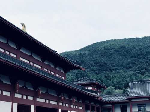 九峰禅寺, 一个心灵修行的圣地吗?