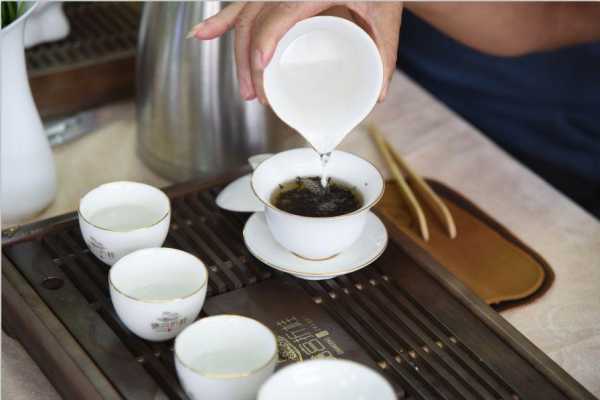 陆羽茶室, 如何品味传统茶文化?