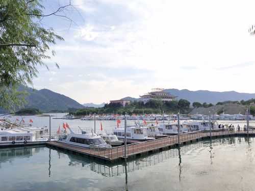 仙岛公园, 适合家庭游玩的最佳去处?