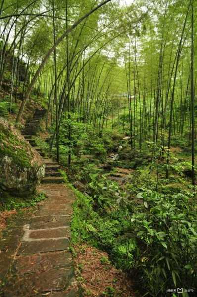 僰王山风景区, 探秘自然与人文之美