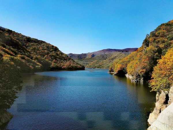 关山湖风景区, 探索湖畔的自然之美