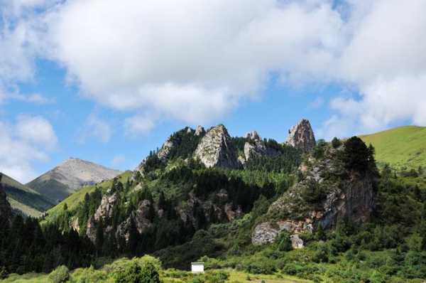 则岔石林旅游景区, 探索自然奇观与文化魅力