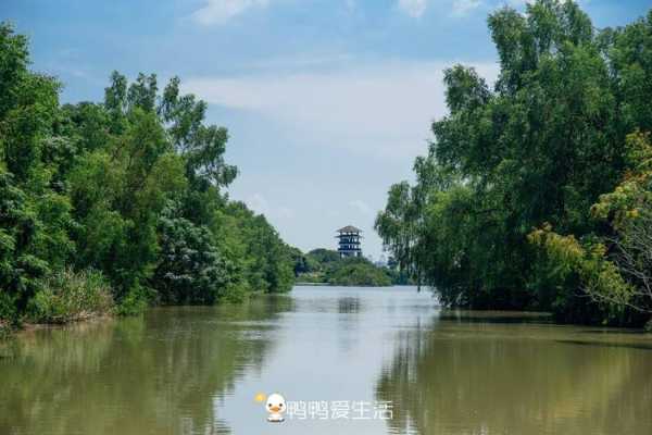 南沙湖风景区, 适合全家游玩的好去处!