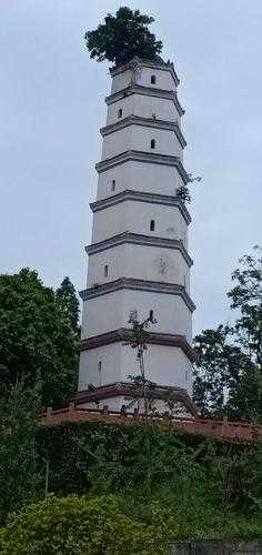 大竹县旅游景点,有哪些不可错过的呢?