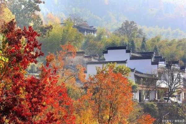 官阳镇, 这个地方有哪些值得探访的景点?