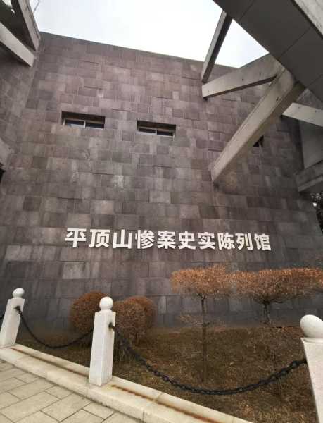 平顶山惨案简介, 事件经过及影响分析