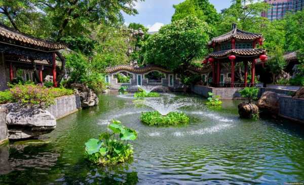 建清园, 享受宁静的自然之美