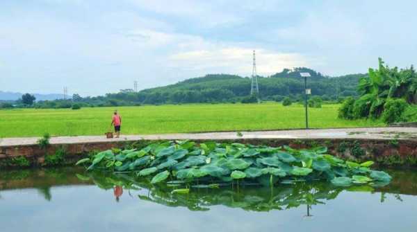 惠东村, 你不可错过的旅行胜地!