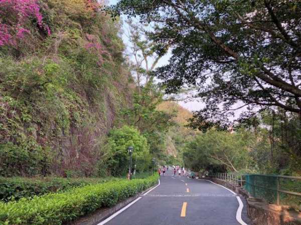 板樟山森林公园,探索自然之美与静谧