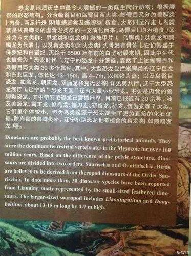 石简, 探秘古代文献背后的故事
