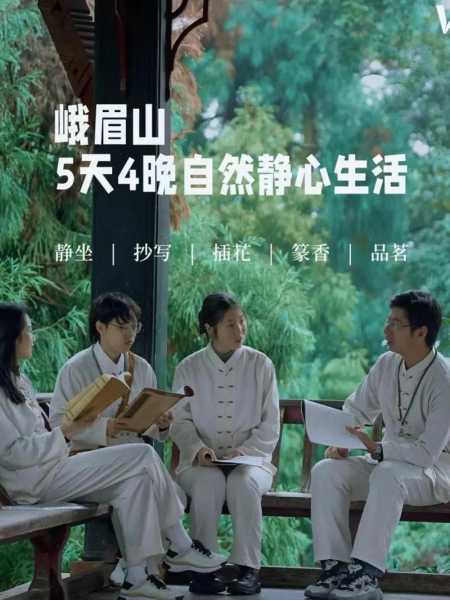能仁禅寺, 体验禅修的宁静与智慧