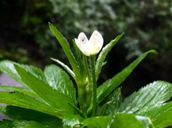 芦芽山天气预报,即将来临的天气变化是什么?