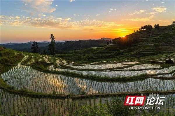 铁坡镇, 探索这个小镇的独特魅力