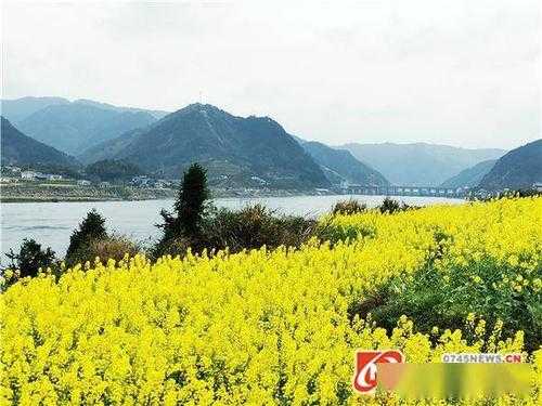 铜湾镇的旅游风貌,你了解多少？