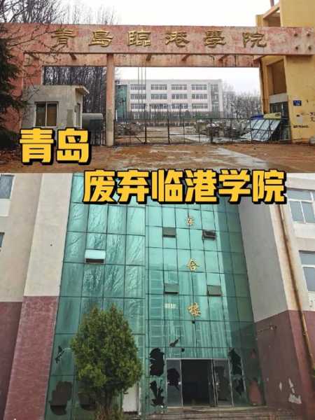 青岛临港学院, 志愿者活动如何参与?