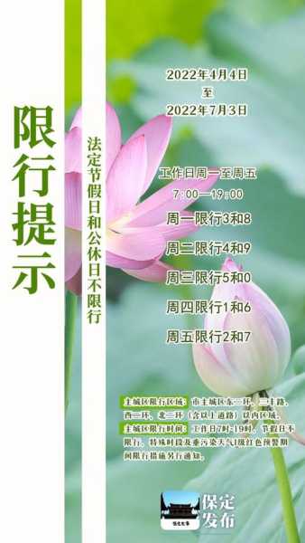 保定限号罚款, 如何避免不必要的损失？
