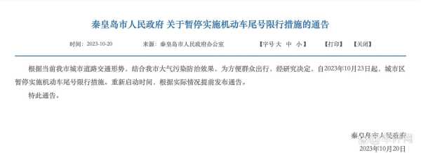 河北机动车限号, 如何灵活调整出行计划？