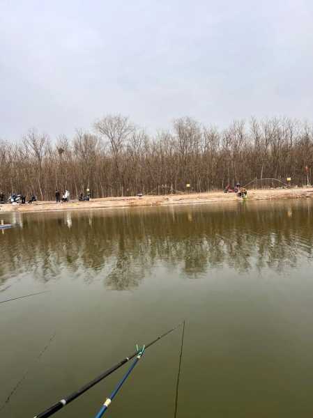 五龙山响水河天气预报,周末去钓鱼合适吗