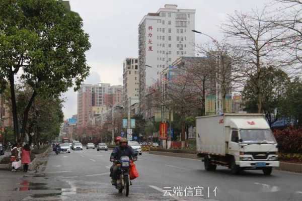 信宜天气5月,适合穿什么衣服