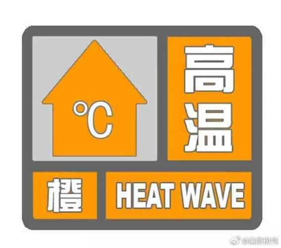 天气太热鸡热死了,这高温还能忍下去吗