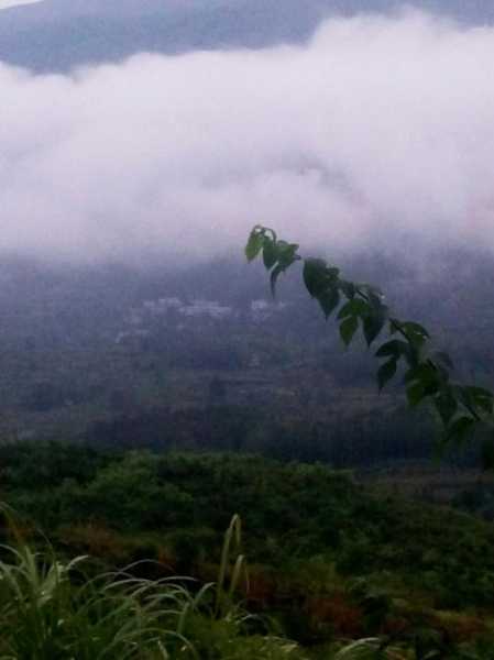 天气预报印江,出门需要带伞吗