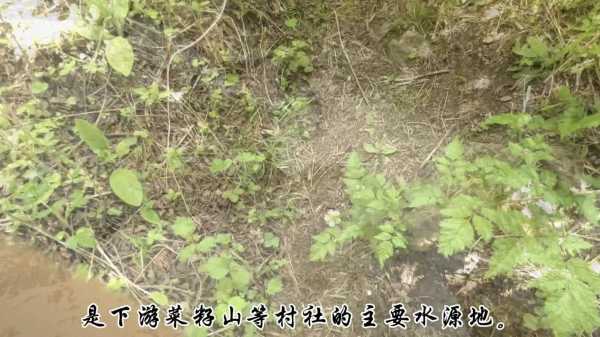 榆中官滩沟天气预报,要不要出门活动