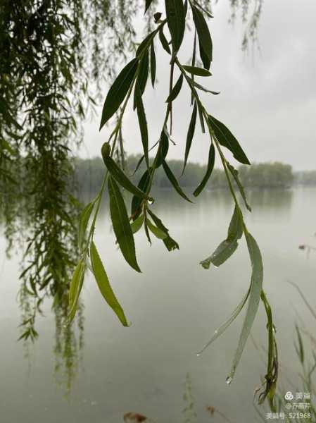 独山影山镇天气,今天会下雨吗