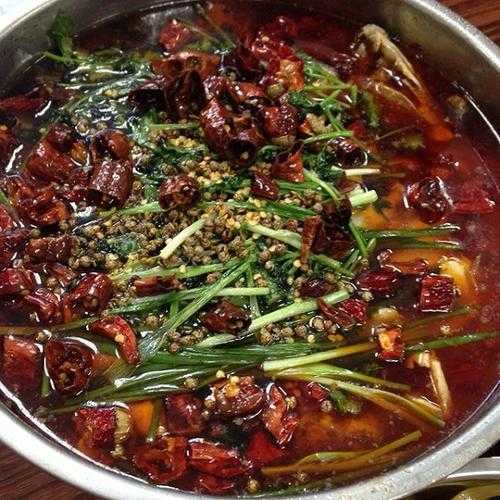 来凤鱼简介, 这条鱼有什么特别之处？