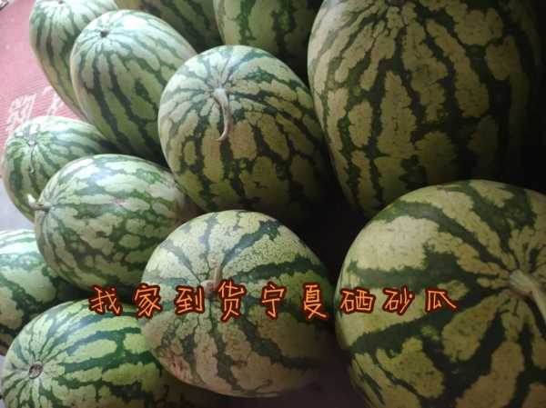 硒砂瓜图片, 如何选择健康美味的硒砂瓜?