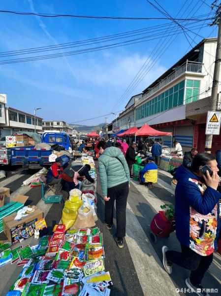 西营大集时间表, 2023年最新安排和注意事项