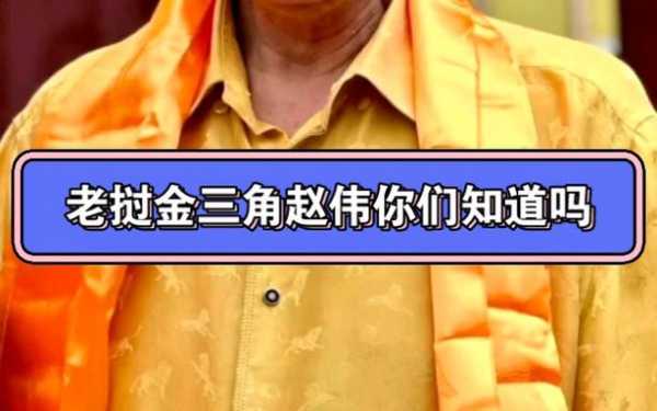 金三角赵伟, 他为何备受关注？