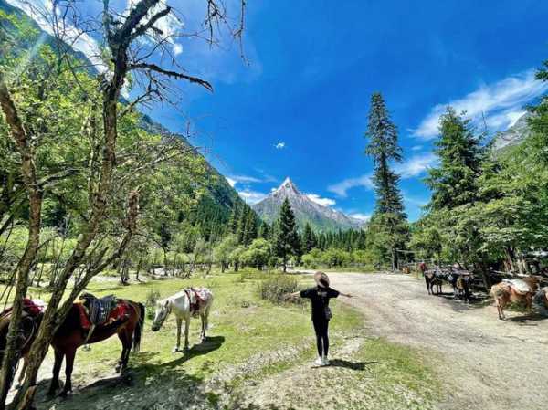 长坪沟旅游攻略, 适合亲子游还是徒步探险?